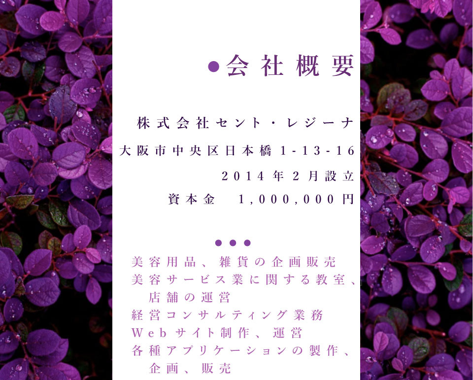 セント・レジーナ会社概要