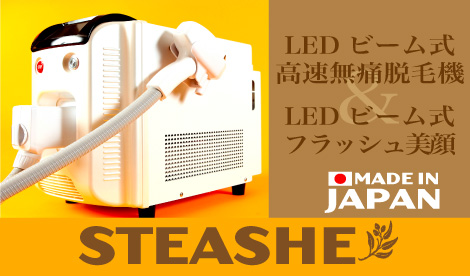 ステーシーへのリンクボタン