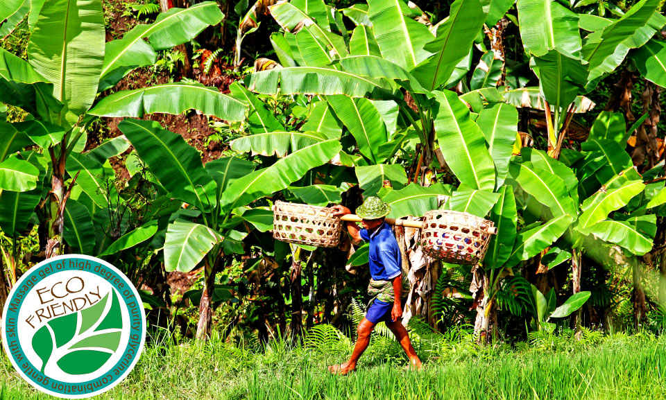 セント・レジーナ　オイルフリーマッサージPROオイル　生産地画像