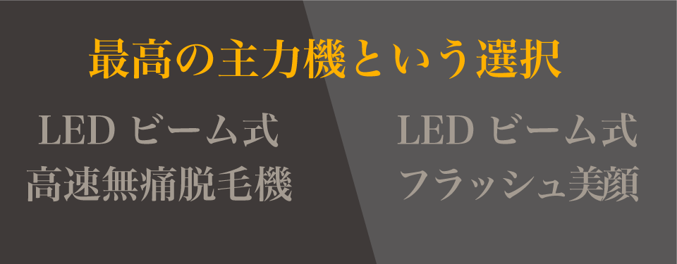 LED脱毛器、LED美顔器　ステーシー　特徴１