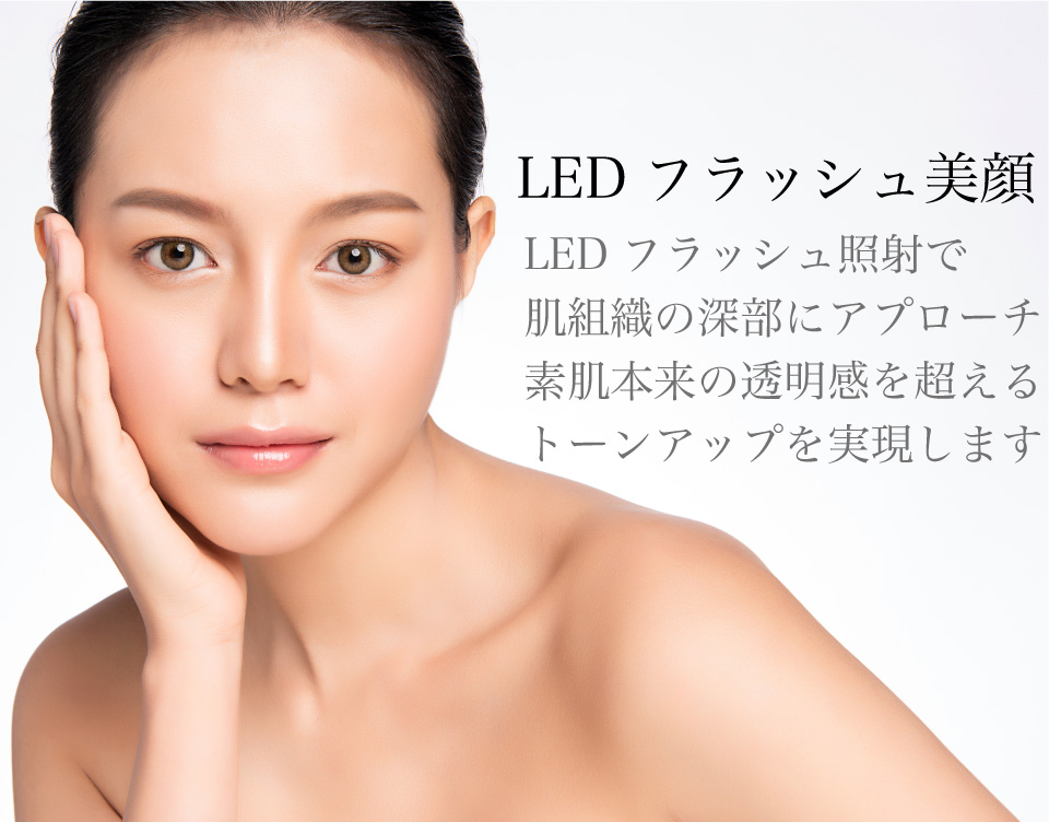 LED脱毛器、LED美顔器　ステーシー　フラッシュ美顔