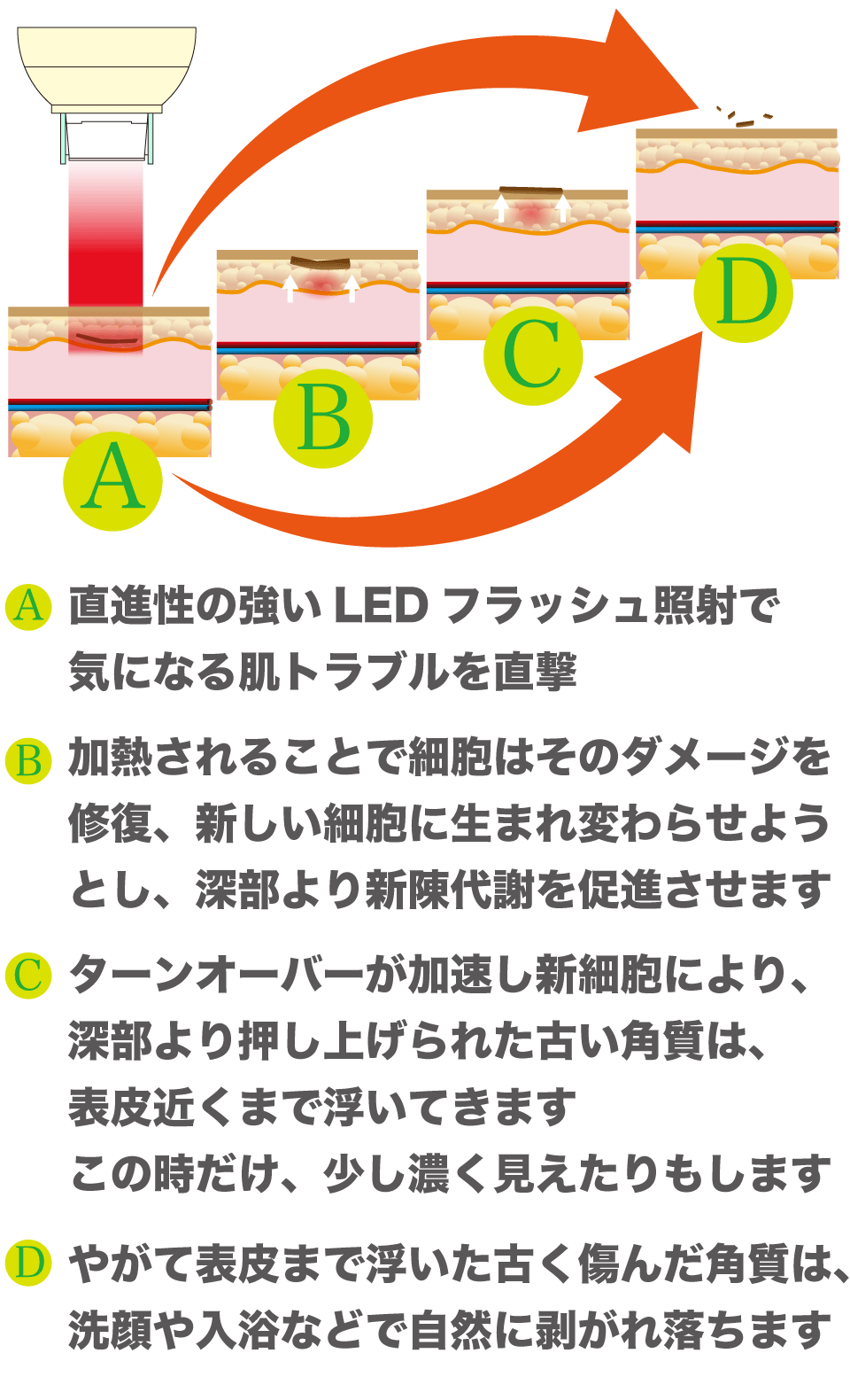 LED脱毛器、LED美顔器　ステーシー　フラッシュ美顔特徴